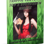 traffic_looter_5niches_ecover