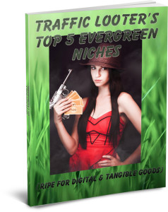 traffic_looter_5niches_ecover