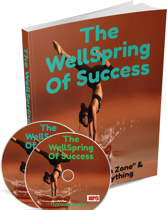 Product Review: The Wellspring of Success